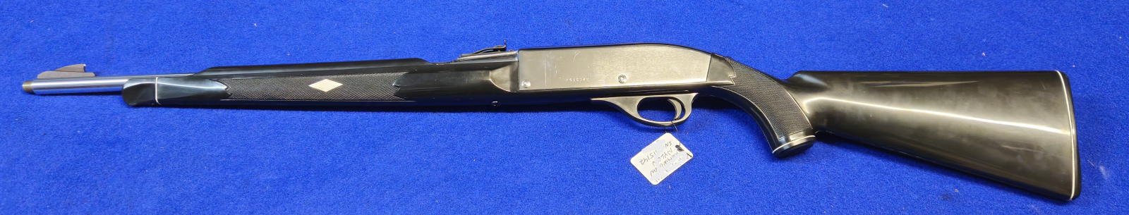 Remington Nylon .22lr